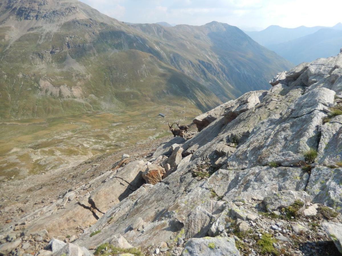 Mountain Chalet Milly Livigno Bagian luar foto