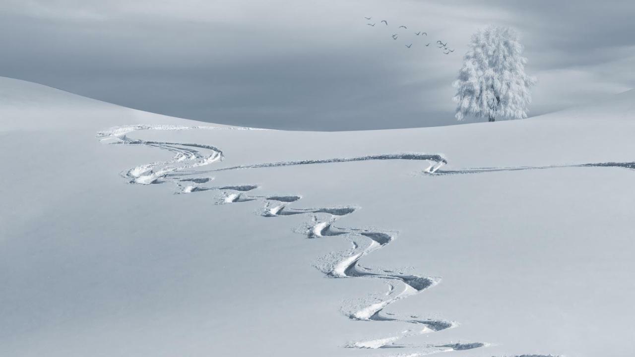 Mountain Chalet Milly Livigno Bagian luar foto